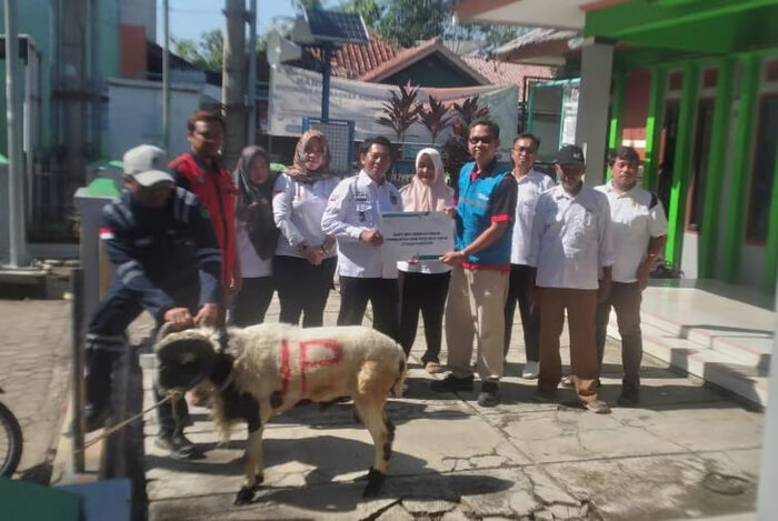 Peringati Hari Raya Idul Adha, UBP Jatigede Berikan Bantuan Hewan Qurban Ke Desa Sekitar