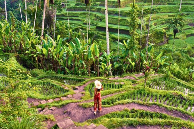 Rahasia Bali Jadi Ikon Pariwisata Berkualitas yang Mendunia!