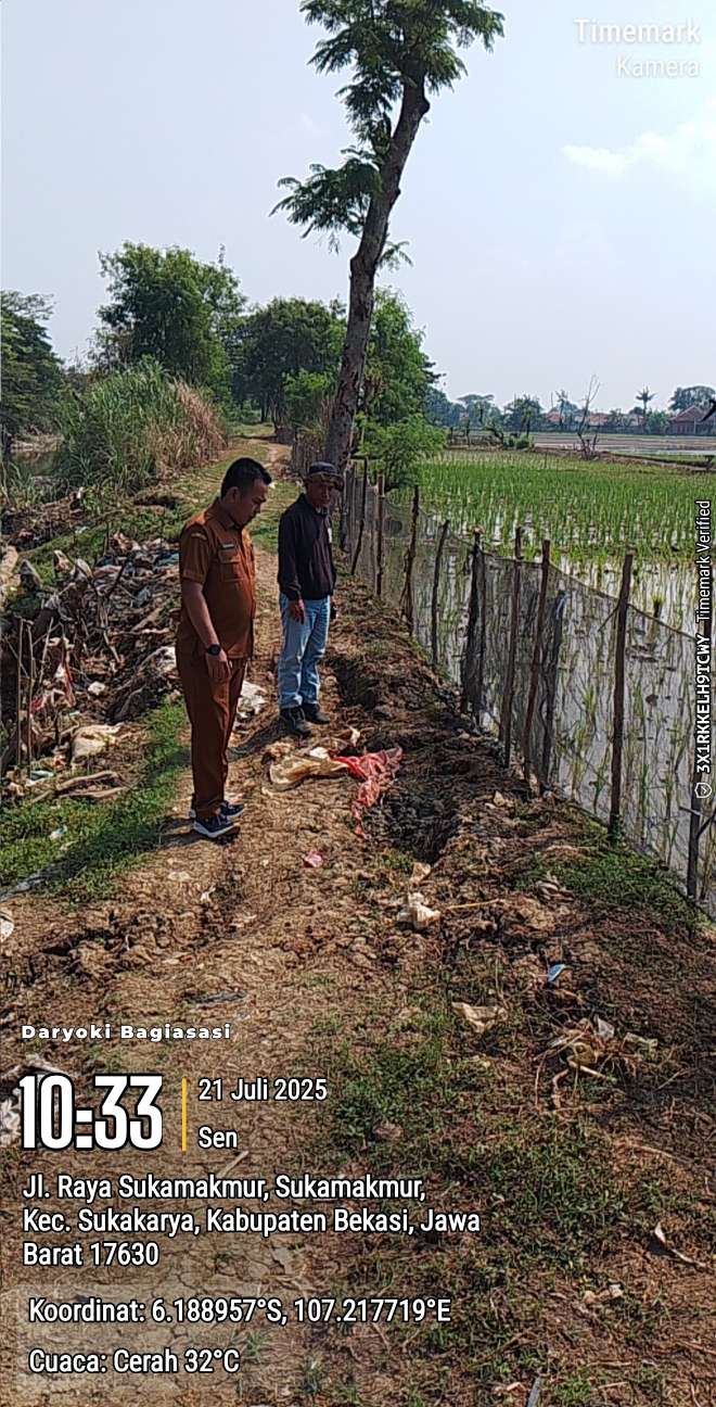 Merusak !!! Tanggul Sungai Ciherang Diratakan Jadi Sawah Demi Keuntungan Pribadi