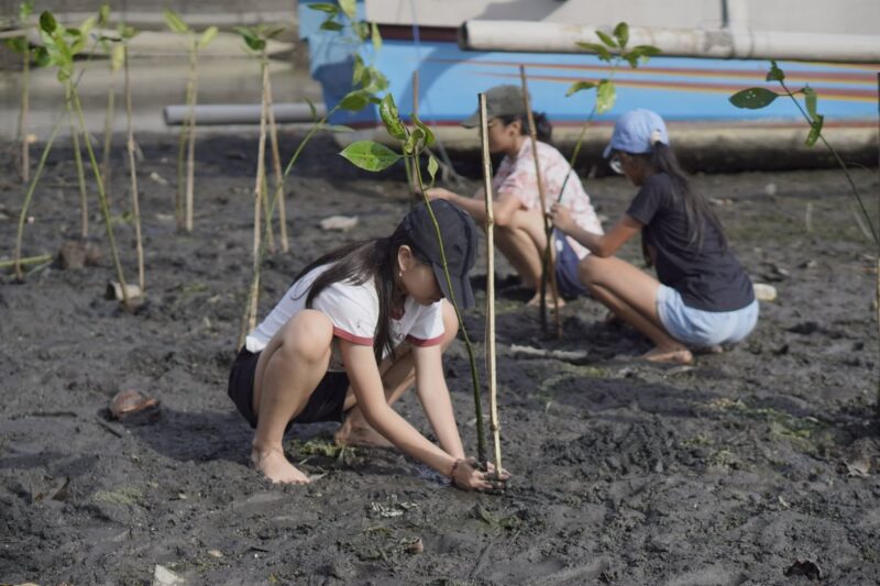 Generasi Muda Kini Bisa Beri Dampak Nyata Lewat Donasi Pohon Rp25 Ribu Generasi Muda Kini Bisa Beri Dampak Nyata Lewat Donasi Pohon Rp25 Ribu