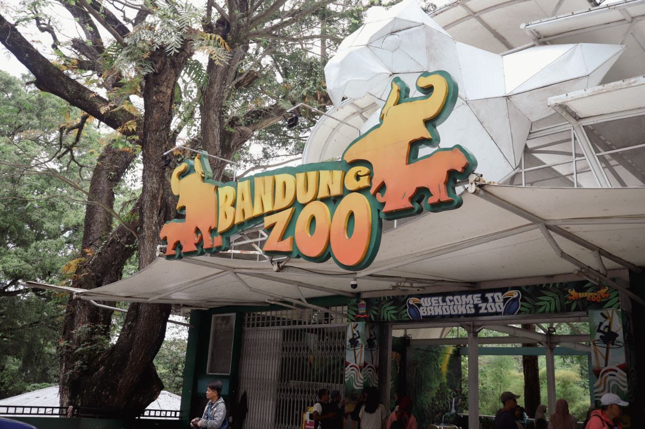 Pemerintah Kota Bandung mulai mendata pelaku usaha yang beraktivitas di Dalam Kebun Binatang Bandung.