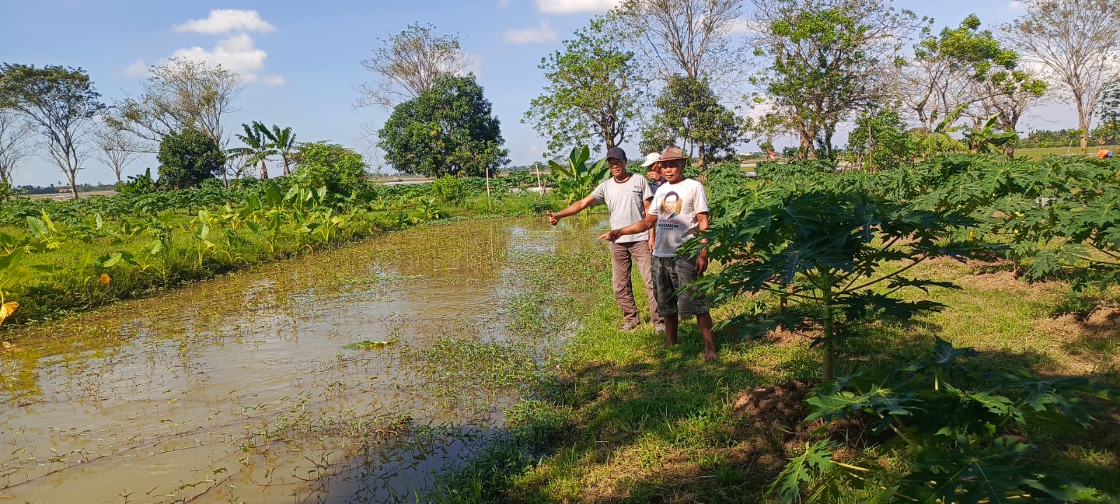 Keterangan foto: Mengembangkan Daya Tarik Wisata Pertanian. Pokdarwis Karangsetia Kabupaten Bekasi Kembangkan Budidaya Perkebunan Pepaya Calfornia, Senin, 01/07/2025.