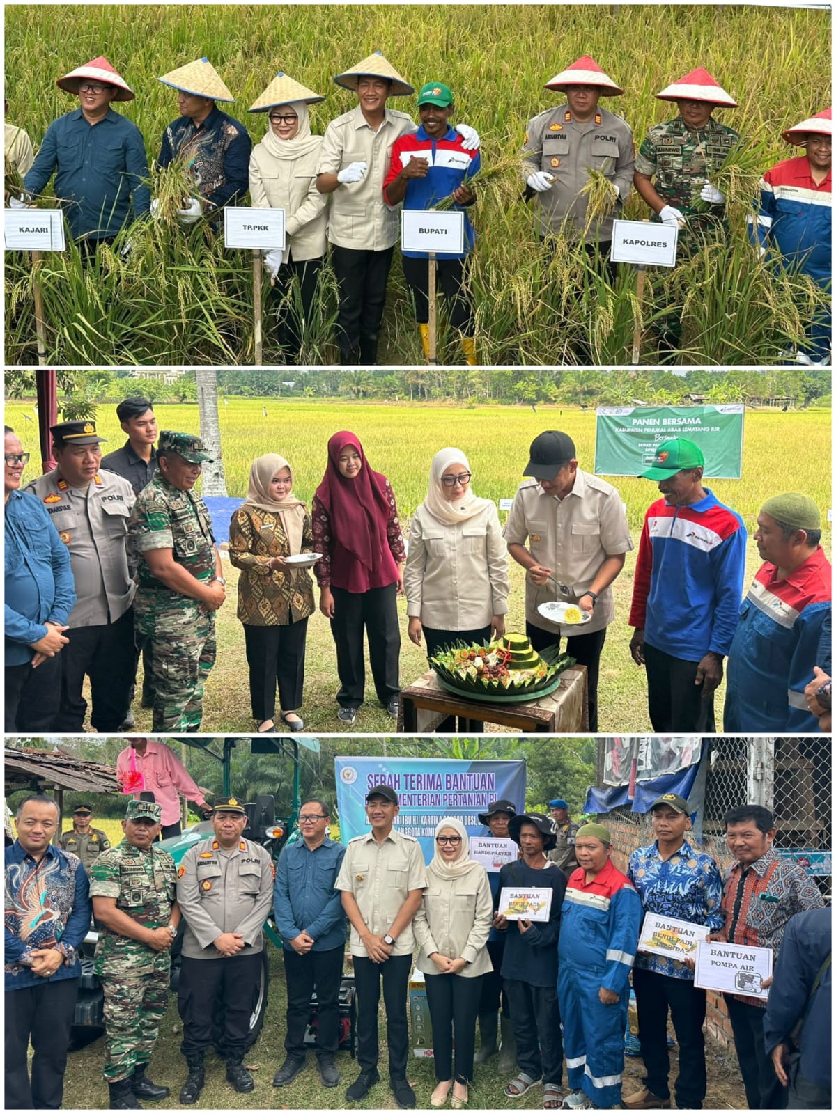 PANEN RAYA DI REJOSARI, BUPATI PALI AJAK MASYARAKAT WUJUDKAN KEDAULATAN PANGAN