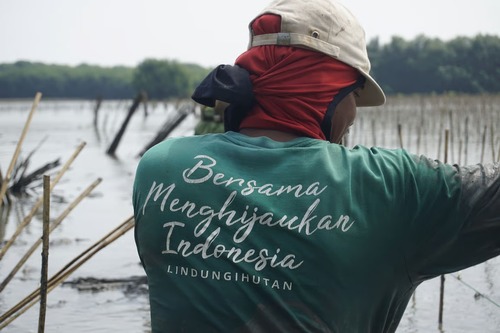 LindungiHutan Dorong Tebus Jejak Karbon dengan Penanaman Pohon LindungiHutan Dorong Tebus Jejak Karbon dengan Penanaman Pohon