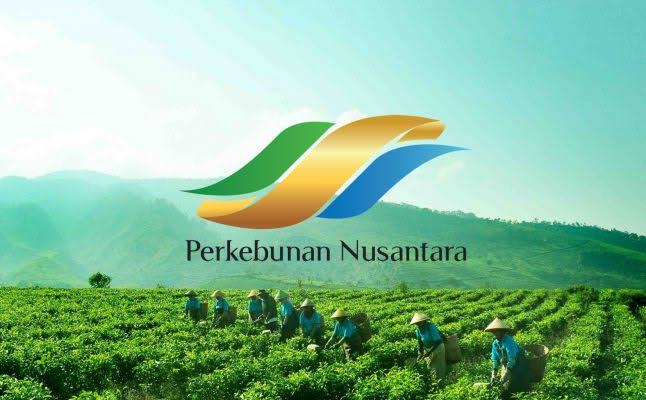 Holding Perkebunan Nusantara Dorong Produk Bernilai Tinggi, Teh Malabar PTPN I Tembus Pasar Premium