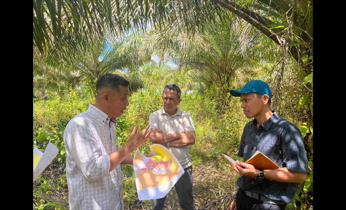 REA Berdayakan Lebih dari 600 Petani Swadaya di Kalimantan Timur untuk Kepatuhan EUDR dan Sertifikasi RSPO dengan Dukungan Teknis dari KOLTIVA