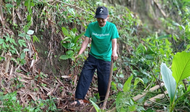 Tiga Lokasi Penanaman Paling Mendesak Tahun Ini: Wonogiri, Cilacap, Mempawah