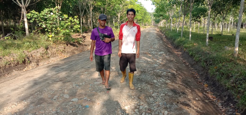 Untuk Memudahkan Akses Aktifitas Masyarakat Dalam Bertani, Pemerintah Kabupaten PALI  Membangun dan Peningkatkan Jalan Desa