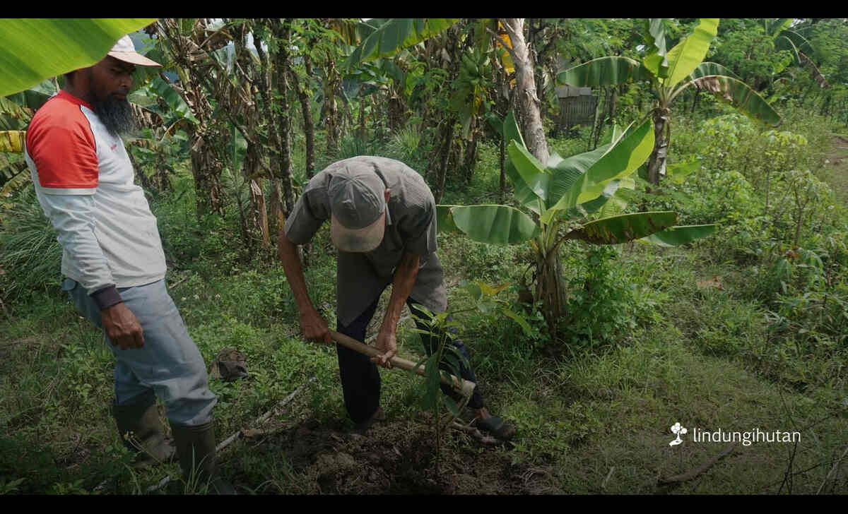Hari Tani Nasional 2025, LindungiHutan Perkuat Peran Petani dalam Penghijauan dan Ketahanan Iklim