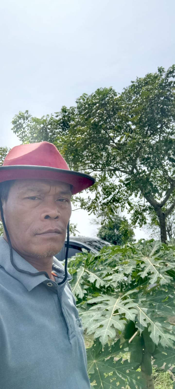 Pemkab Bekasi Tak Kunjung Menetapan Perda LP2B ?