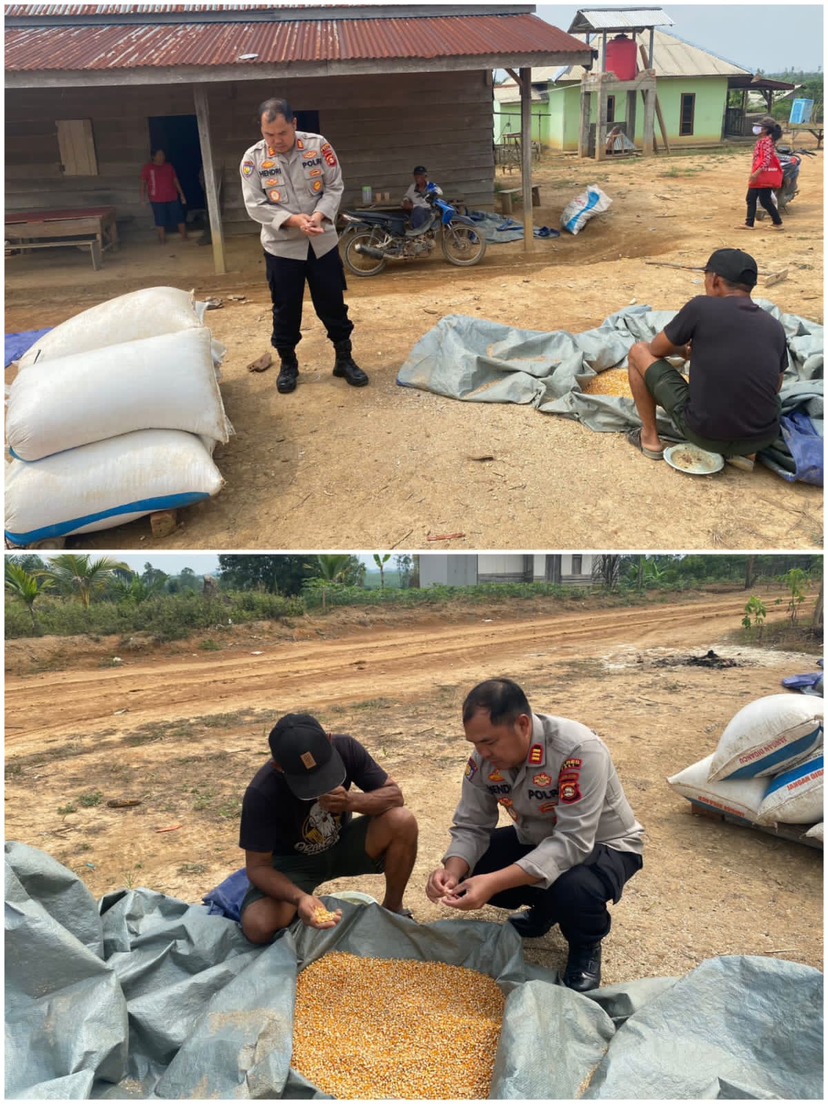 Mendukung Program Ketahanan pangan Nasional, Polres PALI Monitoring Ketahanan Pangan Jagung