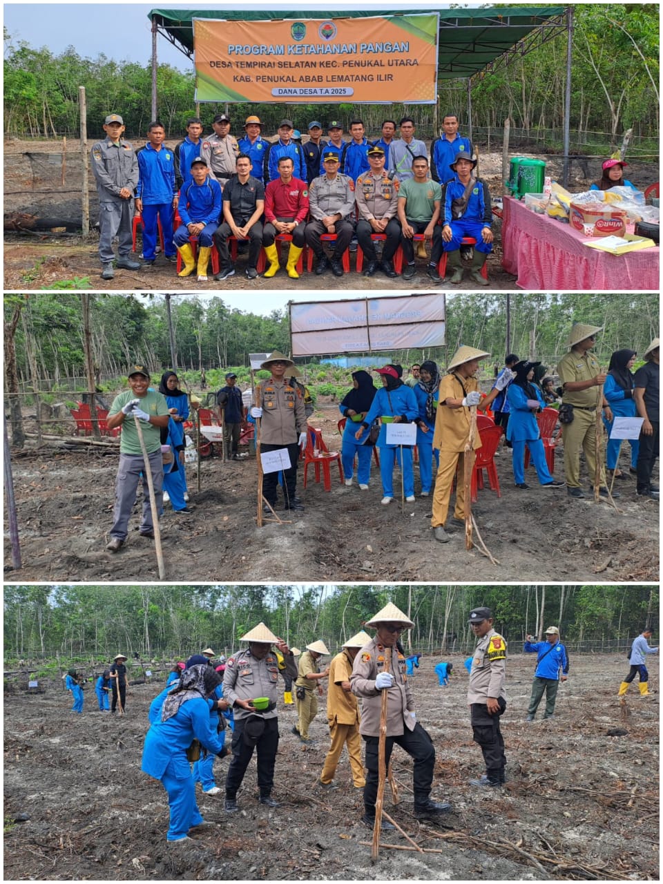 Dalam Rangka Mendukung Program Nasional, Polres PALI Amankan Penanaman Jagung Desa Tempirai Selatan 