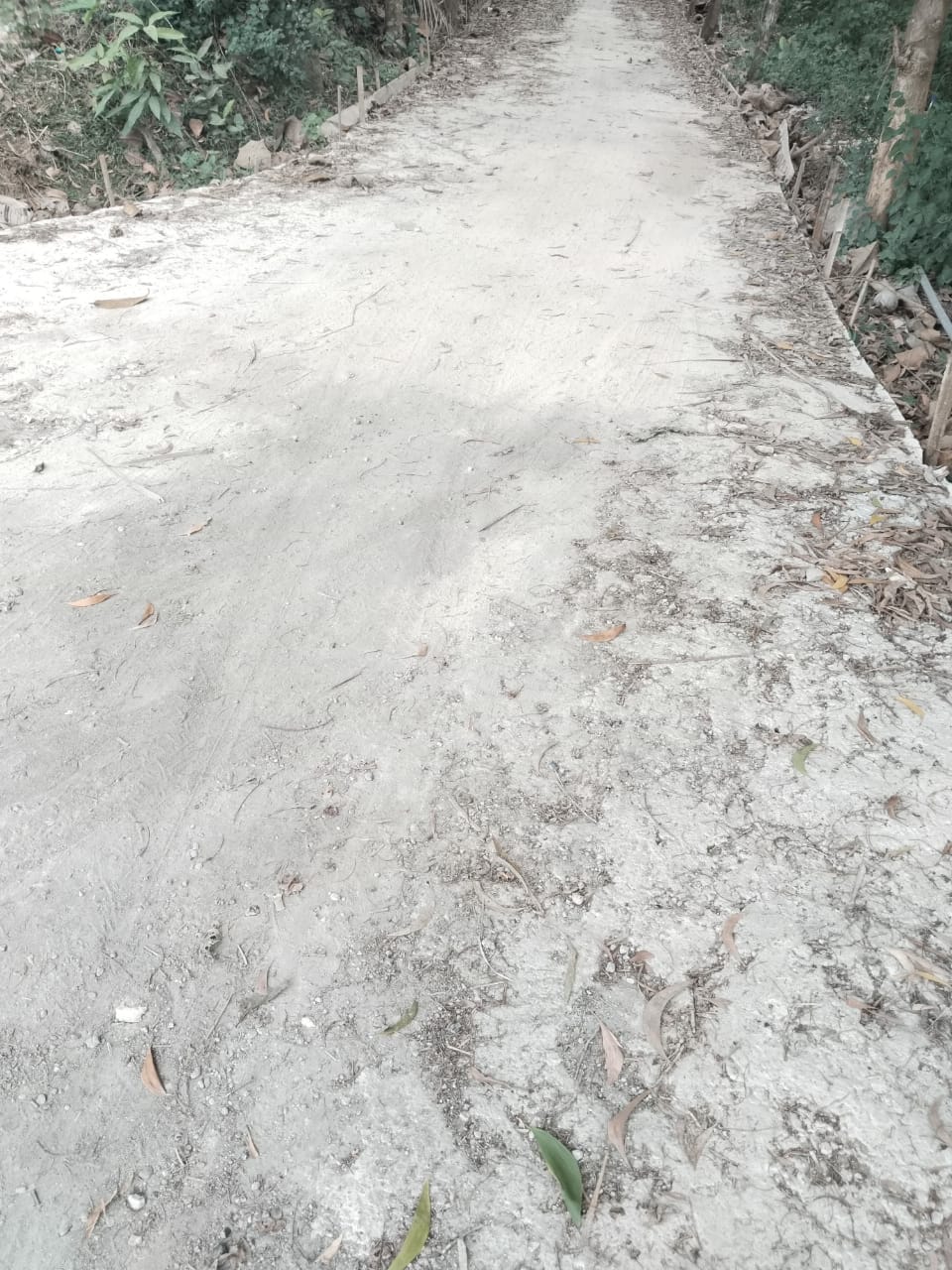 Pekerjaan Rabat Beton di Dusun Bata-Bata Desa Campaka Difiktifkan, Pelaksana tidak Cantumkam Papan Nama