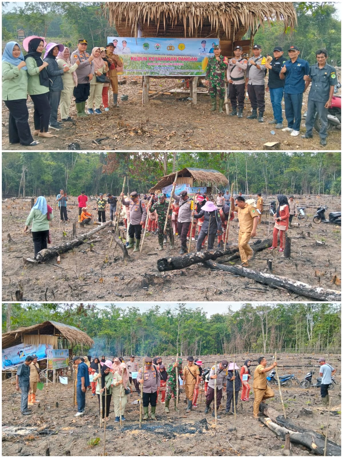 Kapolres PALI Dukung Ketahanan Pangan Nasional Dengan Penanaman Jagung di Desa Sukamanis 
