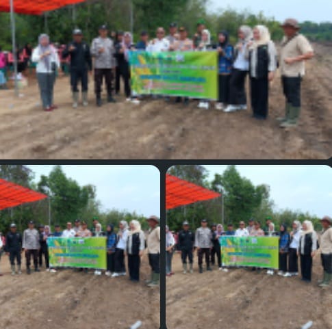 Mendukung Ketahanan Pangan Nasional, Pemerintah Desa Air Itam Timur Tanam Jagung Hibrida
