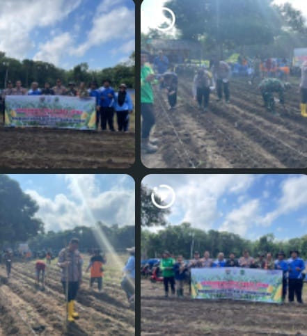 Dukung Ketahanan Pangan Nasional Polsek Talang Ubi Hadiri Penanaman Jagung di Desa Panta Dewa