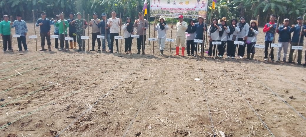 Dalam Rangka Menunjang Perekonomian Masyarakat, Pemdes Raja Gelar Tanam Jagung