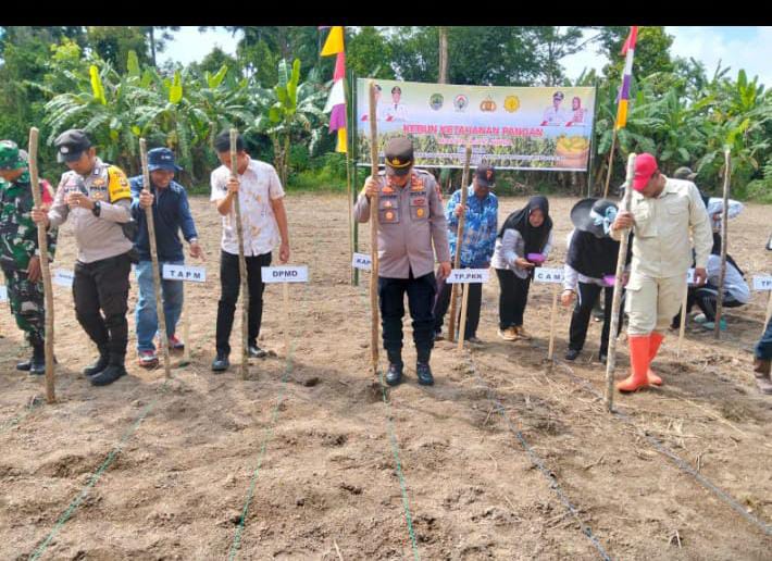 Dorong Optimalisasi Program Ketahanan Pangan, Polsek Tanah Abang Hadiri Penanaman Jagung Perdana di Desa Raja