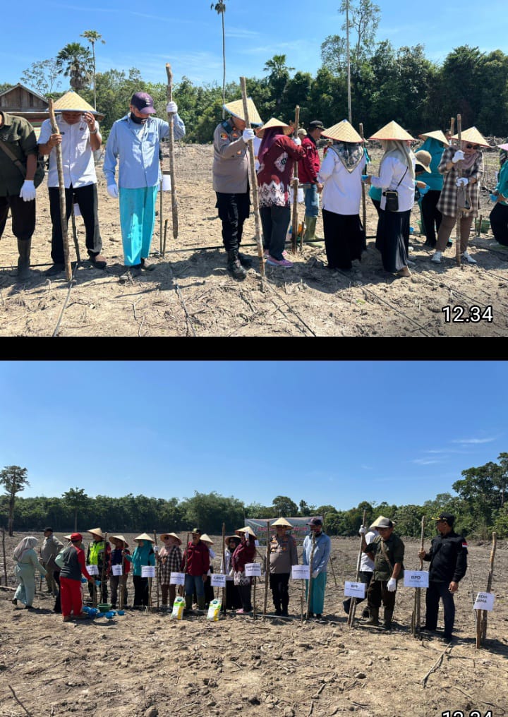 Penanaman Jagung di Desa Tanah Abang Jaya, Wujud Nyata Program Ketahanan Pangan di Kabupaten PALI