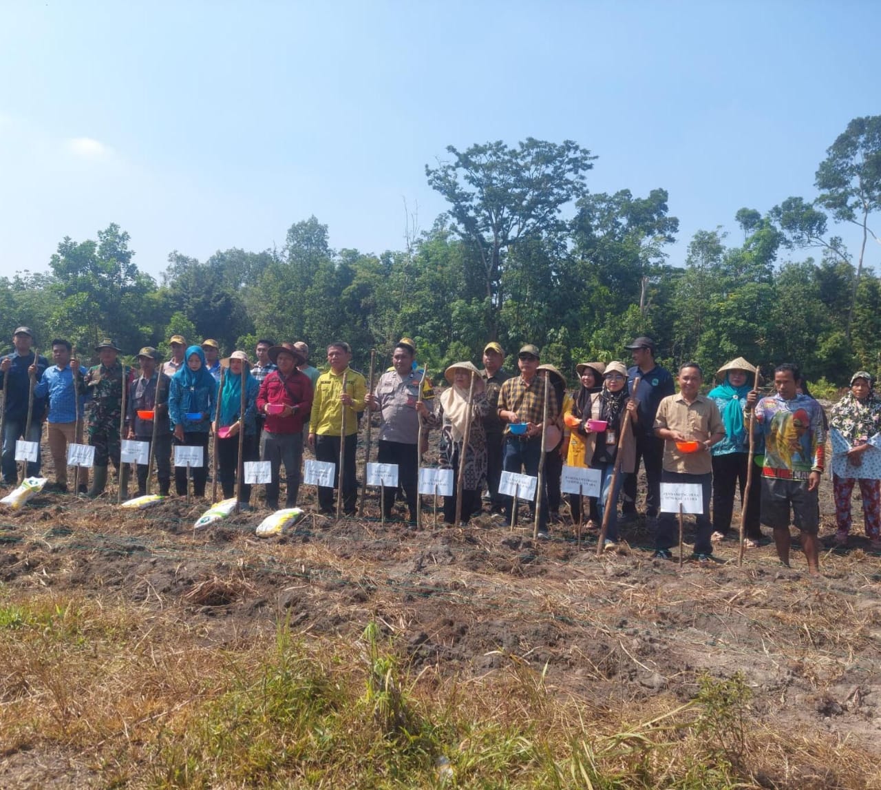 Dorong Ketahanan Pangan Mandiri Desa, Pemerintah Desa Tempirai Utara Gelar Tanam Jagung Hibrida