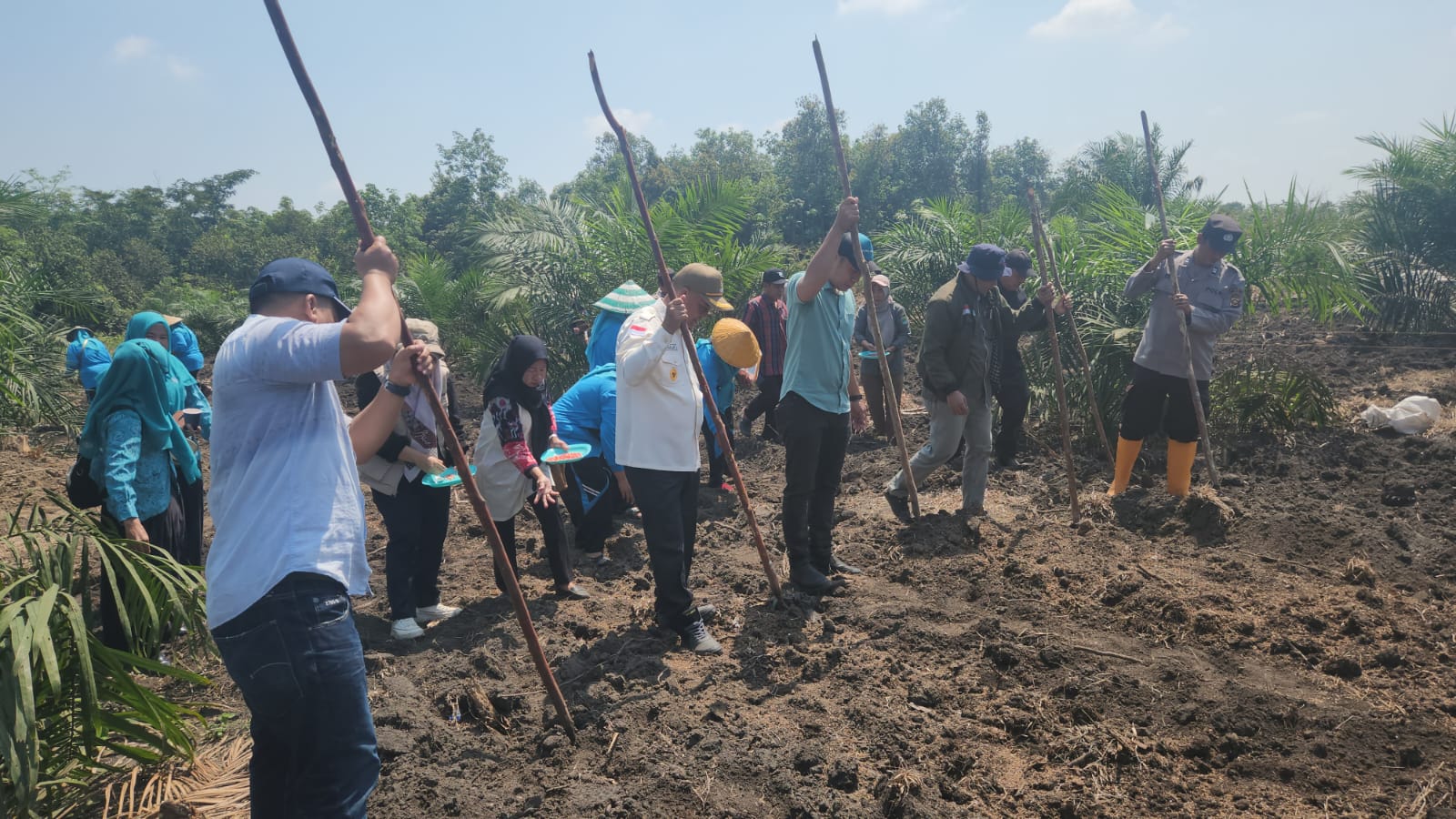 Wujud Sinergi Pemerintah dan Polri Dukung Ketahanan Pangan Dengan menanam Jagung di Desa Prambatan