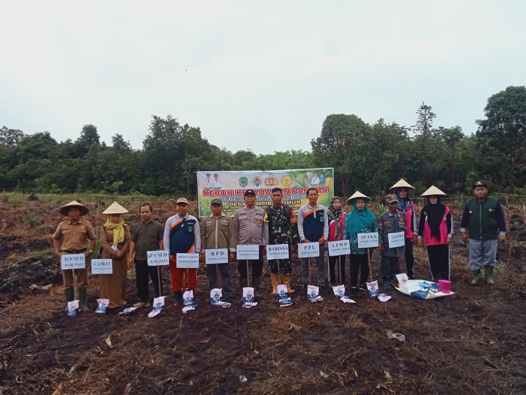 Pemdes Tempirai Timur Gelar Tanam Jagung Di Lahan 1,2 Hektar Sebagai Bentuk Dukungan Ketahanan Pangan