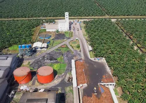 Mutasi Pekerja Besar-besaran PT GBS, 10 Pekerja Pabrik di Mutasi Jadi Tulang Muat Buah Sawit