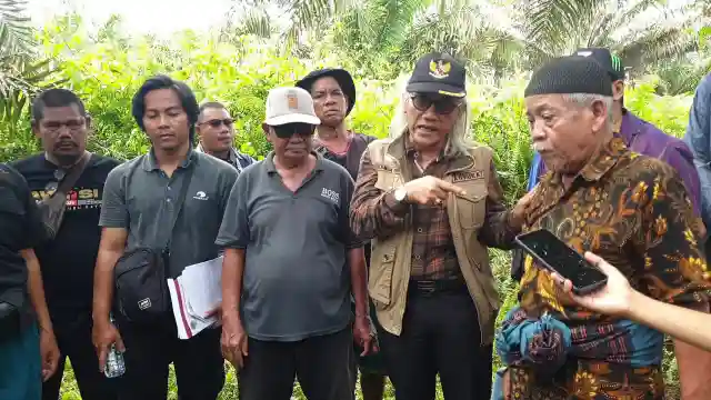 Pengamat Desak Audit Investigasi Lahan Sawit di Kalimantan Barat