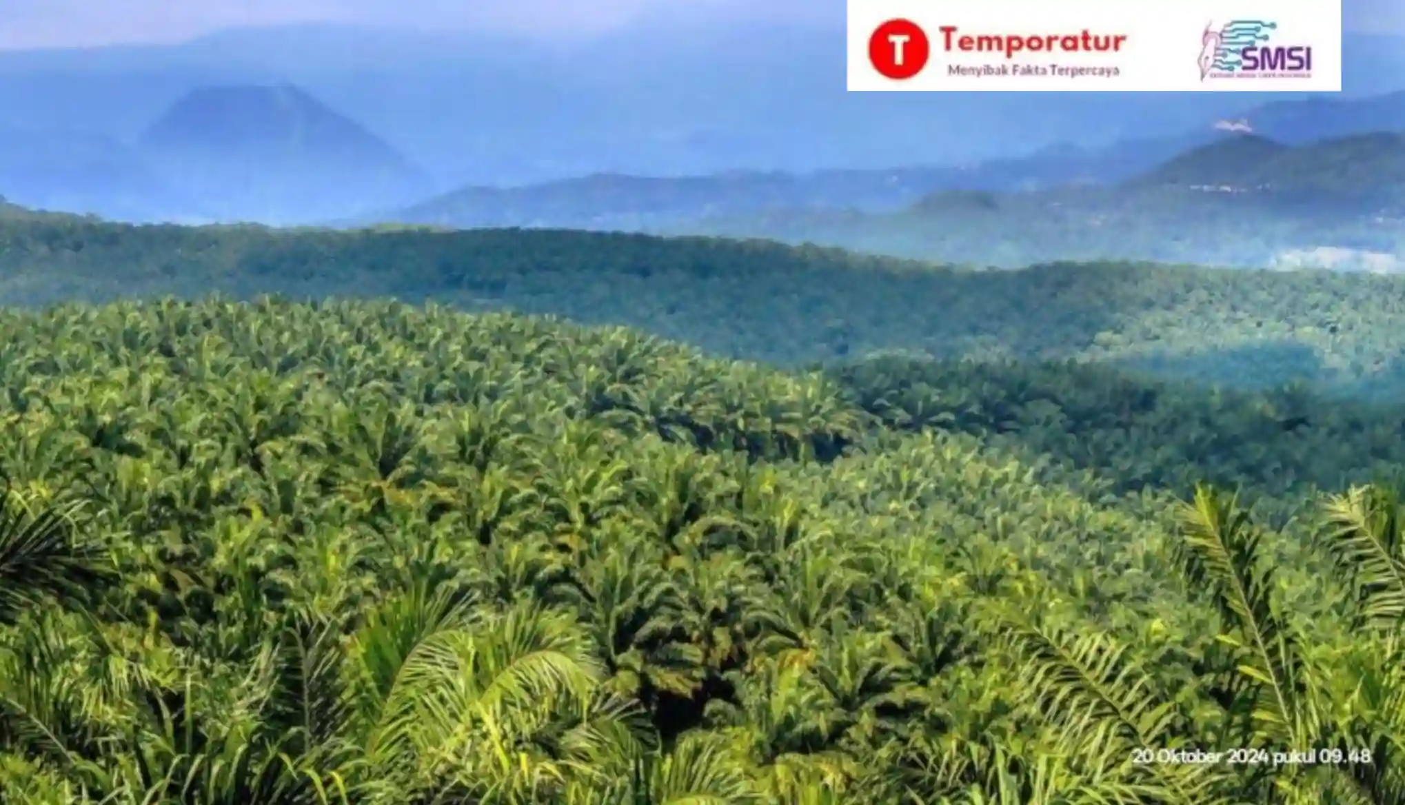 Kaltim Dorong Sawit Jadi Motor Ekonomi Hijau dan Penopang IKN