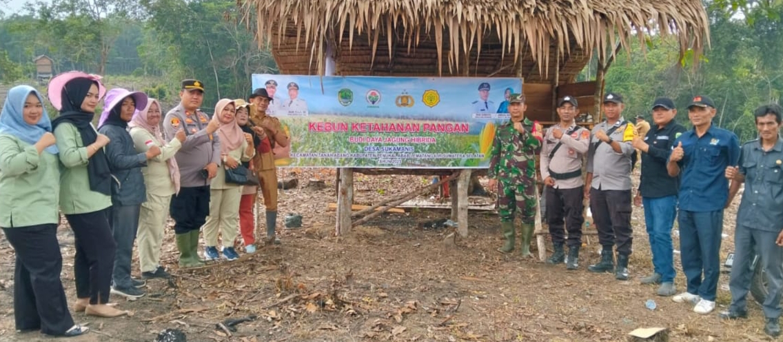 Pemerintah Desa Sukamanis Gelar Tanam Jagung Dalam Rangka Menunjang Ketahanan Pangan Nasional