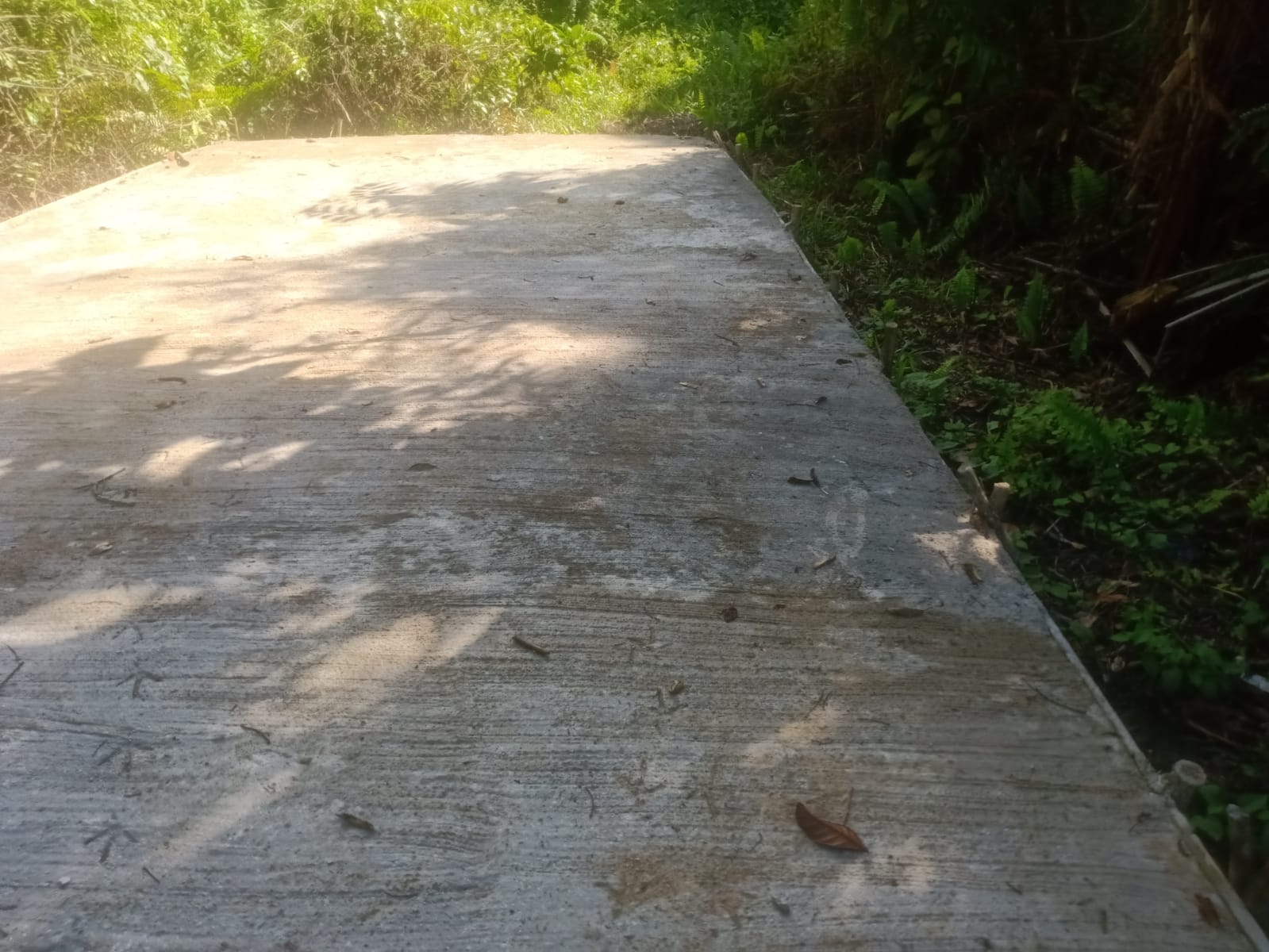 Bupati Harus Perhatian Terhadap Nilai Kontruksi Tata Kelola Dalam Jalan Desa “Ganti Kabid Perkim (Sebelum Diperiksa), Tolong Jangan Kurangi Dsbnya Struktur Jalan Kami Di Area Pembangunan PUPR”