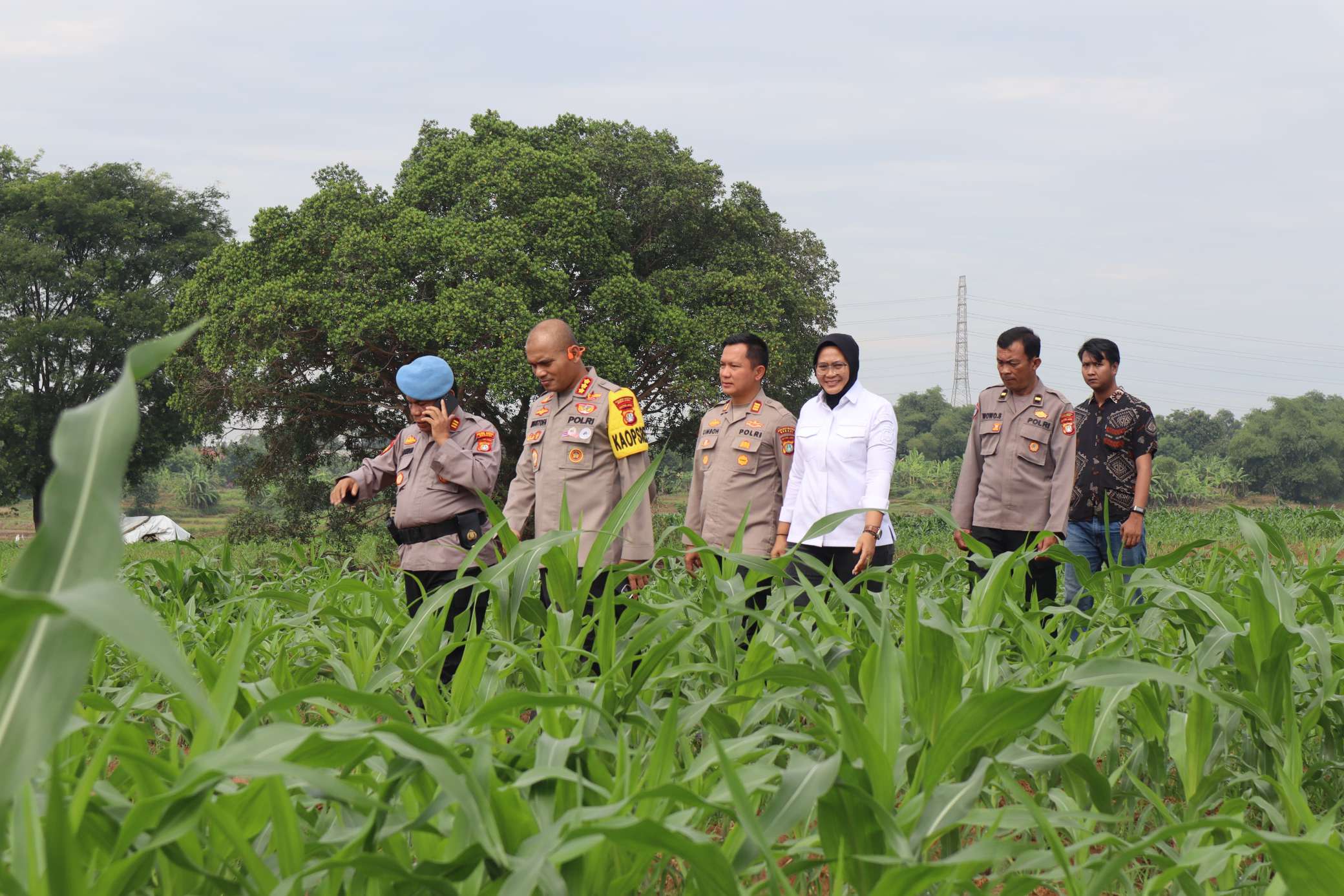 Polres Metro Bekasi Dorong Produktivitas Petani Lokal Melalui Program Ketahanan Pangan