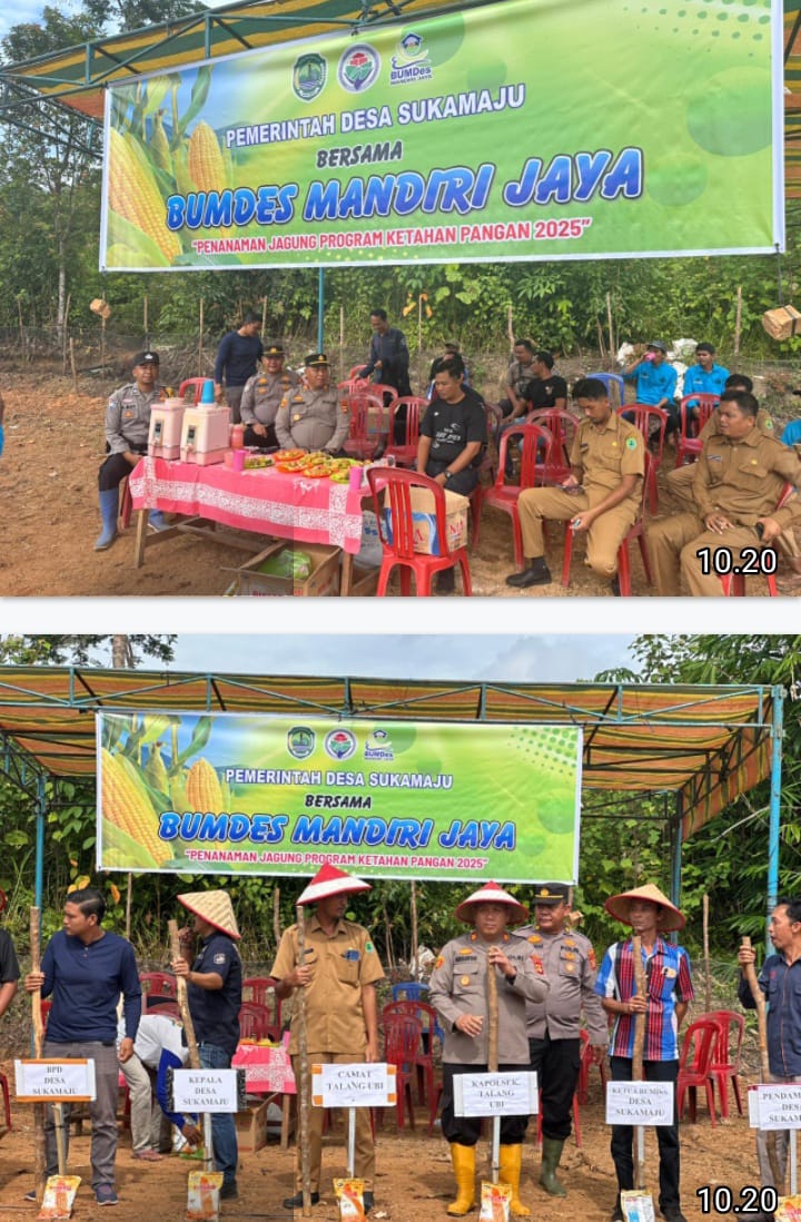 Dukung Program Ketahanan Pangan Nasional, Polsek Talang Ubi Hadiri Tanam Jagung di Desa Sukamaju