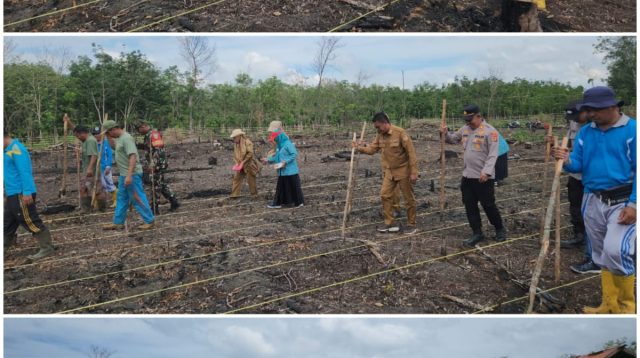 POLSEK PENUKAL ABAB DAN PEMERINTAH KECAMATAN ABAB GELAR PENANAMAN JAGUNG DI DESA KARANG AGUNG