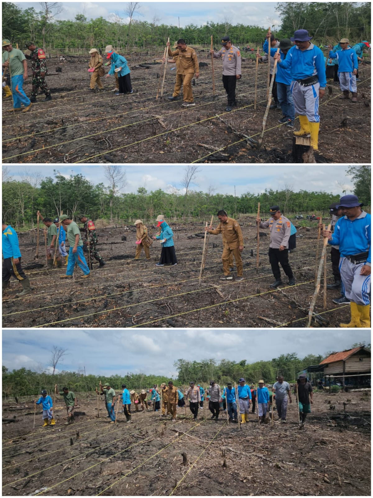 POLSEK PENUKAL ABAB DAN PEMERINTAH KECAMATAN ABAB GELAR PENANAMAN JAGUNG DI DESA KARANG AGUNG