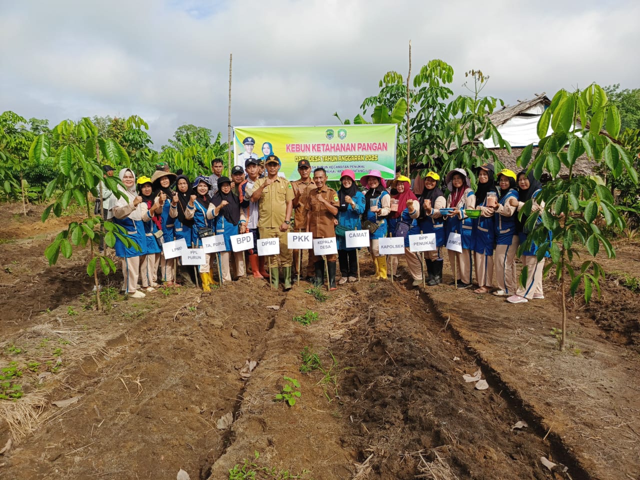 Dukung Program Ketahanan Pangan, Pemerintah Desa Purun Gelar Penanaman Jagung 