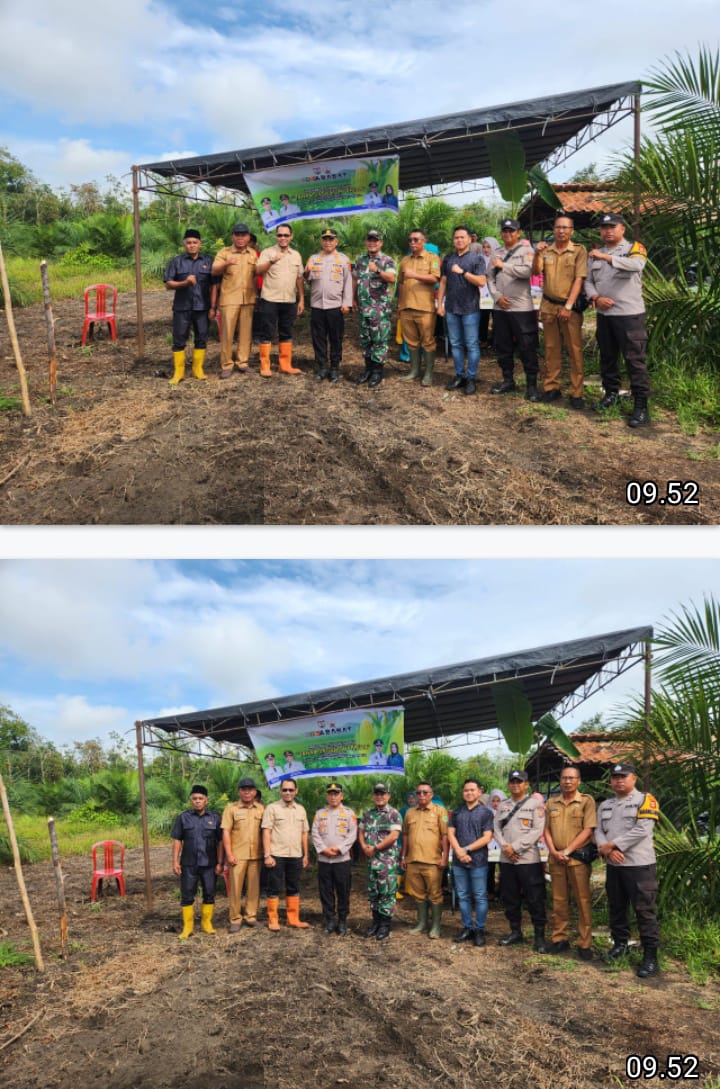 Polsek Penukal Abab Dukung Program Ketahanan Pangan: Penanaman Jagung di Desa Babat Berjalan Lancar