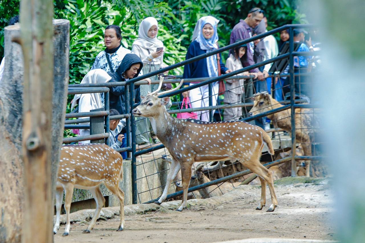 Bandung Zoo Ditutup Sementara, Pemkot Dorong Penyelesaian Damai Dua Pihak Yayasan