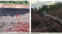 Muara Enim Dikepung Tambang Ilegal: Hukum Tumpul, Mafia Batu Bara Tersenyum