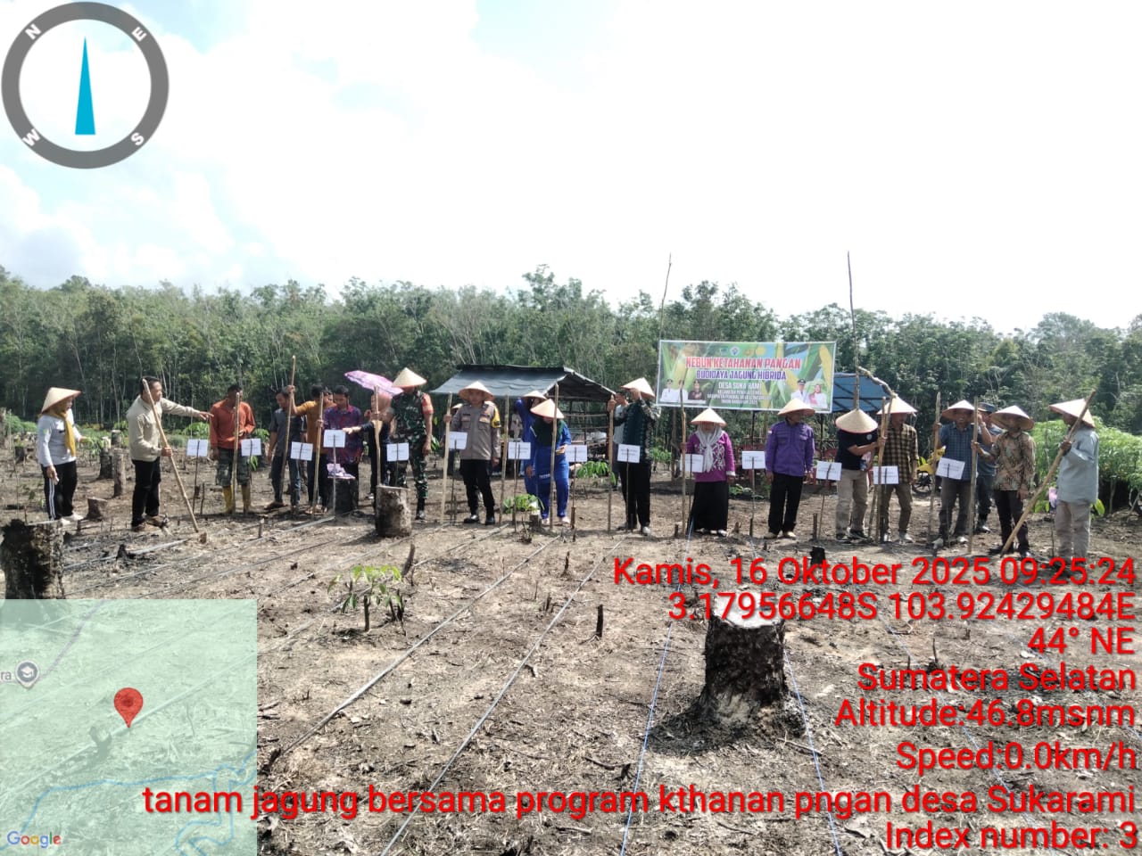 POLSEK PENUKAL UTARA DUKUNG PROGRAM KETAHANAN PANGAN MELALUI PENANAMAN JAGUNG DI DESA SUKARAMI