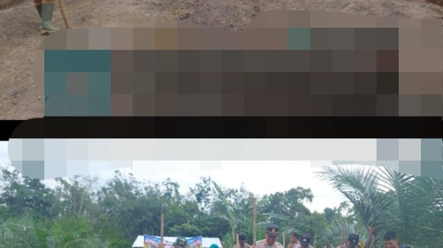 Polsek Penukal Abab Hadiri Penanaman Jagung Desa Sungai Langan Dengan Lahan Pertanian Seluas 1 Hektar