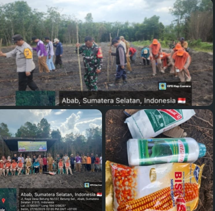 Polsek Penukal Abab Dukung Program Ketahanan Pangan, Gelar Penanaman Jagung di Desa Betung Selatan