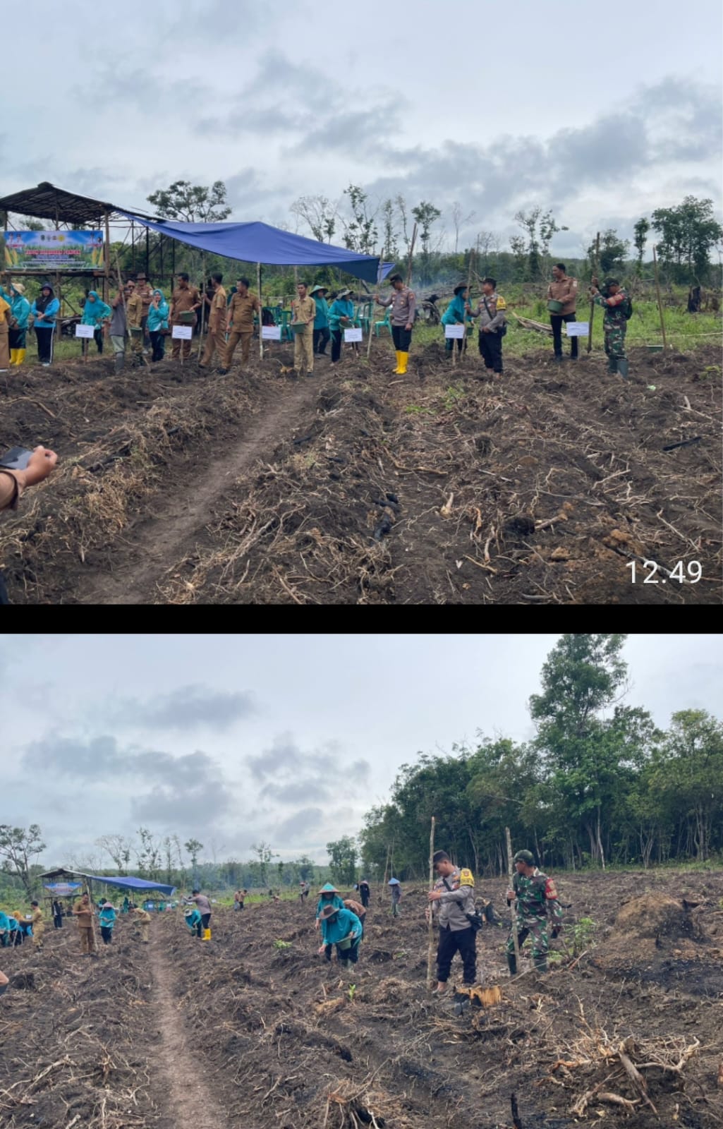 Polsek Talang Ubi Dukung Program Ketahanan Pangan, Tanam Jagung di Desa Sinar Dewa