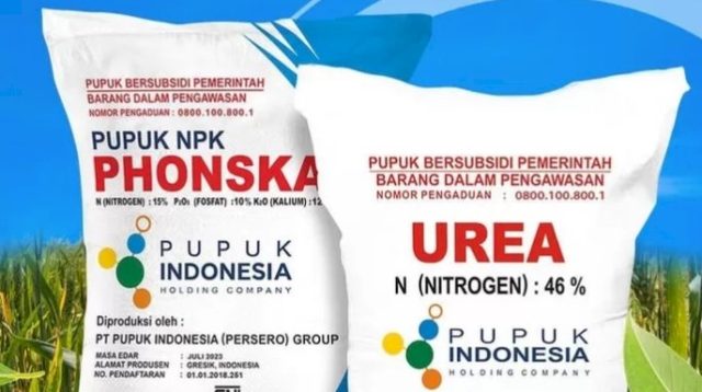 Akibat Kelangkaan Pupuk, Kelompok Tani Kalompang Makmur Desa Kolpo Tidak Pernah Melakukan Penebusan