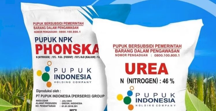 Pupuk Langka di Desa Kolpoh Kec. Batang-Batang Sumenep, Diduga Ada Permainan Distributor dan Kios