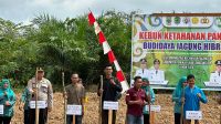 Laksanakan Penanaman Jagung di Desa Simpang Tais, Polsek Talang Ubi Dukungan Ketahanan Pangan Nasional 