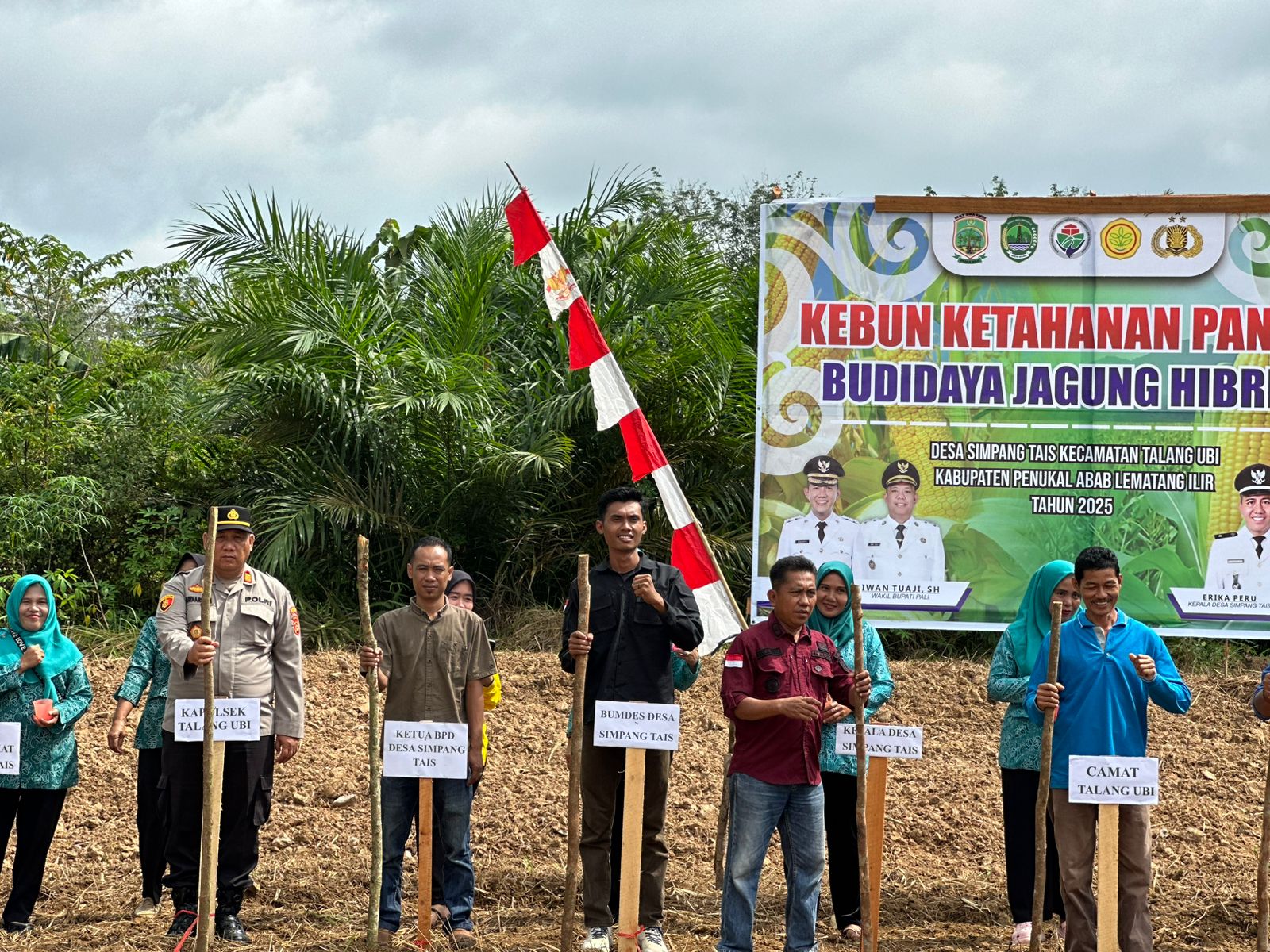 Laksanakan Penanaman Jagung di Desa Simpang Tais, Polsek Talang Ubi Dukungan Ketahanan Pangan Nasional 
