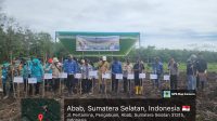 Program Ketahanan Pangan Berbasis Penanaman Jagung di Kecamatan Penukal Abab Mencapai Progres Penuh
