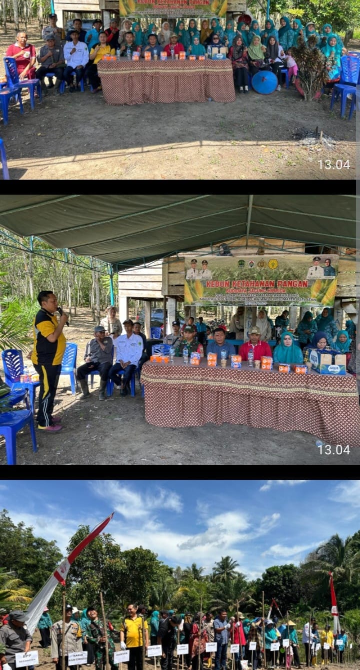 Penanaman Jagung di Desa Lunas Jaya Dorong Ketahanan Pangan, Polsek Tanah Abang Tegaskan Pengawasan Penggunaan Dana Desa