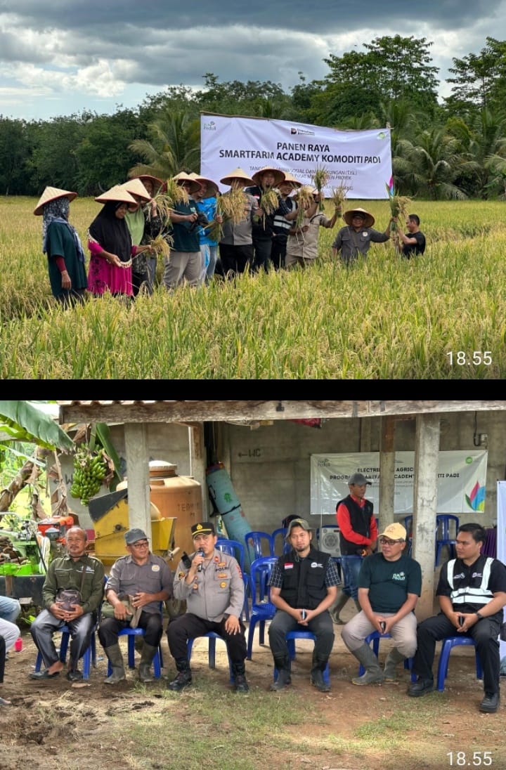 PANEN RAYA SMARTFARM ACADEMY DI DESA MUARA SUNGAI, DUKUNG PROGRAM KETAHANAN PANGAN NASIONAL
